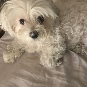 Meet your Posher, Michelle